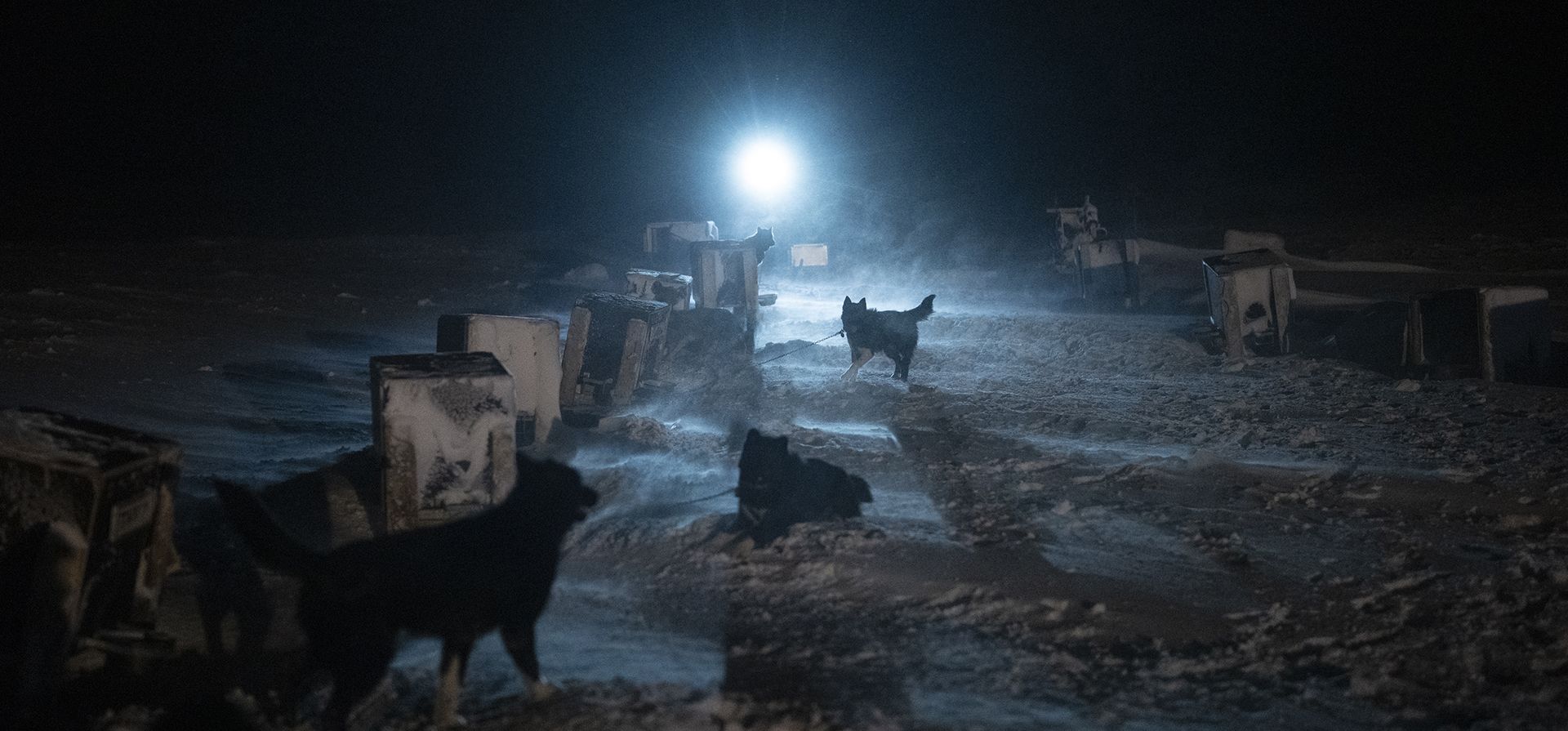 Un trineo tirado por perros regresa a un refugio canino después de entrenar a los cachorros en trineo en Bolterdalen, Noruega, el martes 10 de enero de 2023. El patio está ubicado a media docena de millas del pueblo principal en Svalbard, un archipiélago noruego muy cerca del Polo Norte. (Foto AP/Daniel Cole)