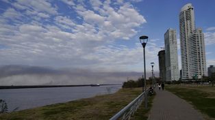 En el último año se redujeron un 90% los incendios en el Delta del Paraná&nbsp;