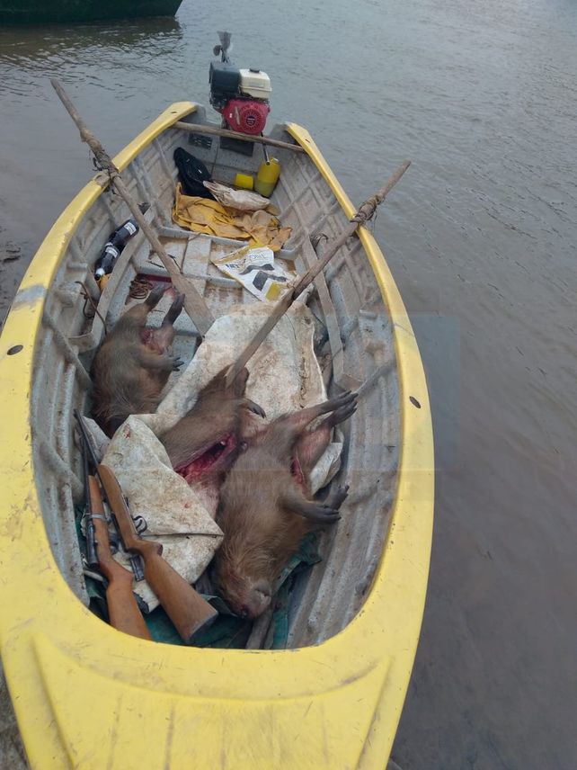Para consumo. Los animales fueron faenados para alimento de una familia.&nbsp;
