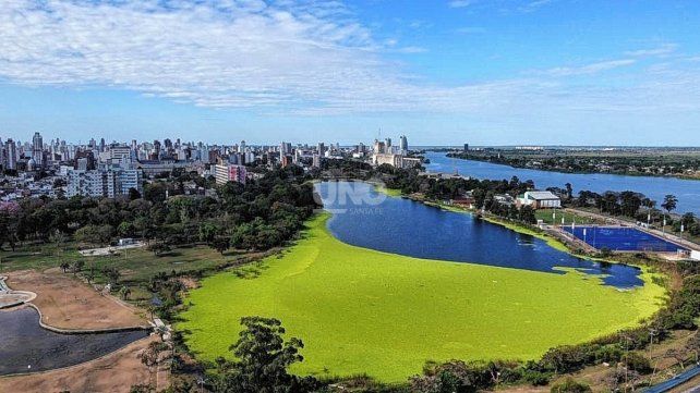 Foto aérea del lago del Parque del Sur en gran parte cubierto de vegetación.