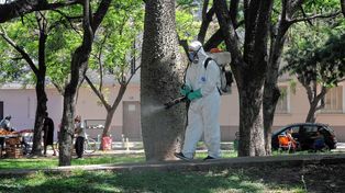 Trabajos de fumigación en la ciudad