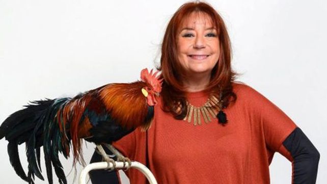 Horóscopo Chino 2017: las predicciones signo por signo