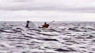 Pensé que me había tragado, dijo el joven chileno cuando la ballena lo expulsó en el Estrecho de Magallanes.