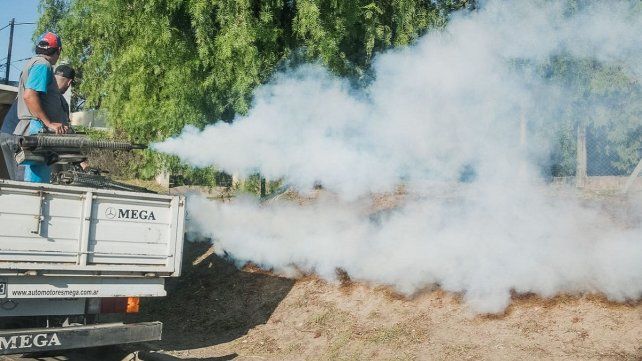 Confirman 12 casos de dengue autóctono en Paraná