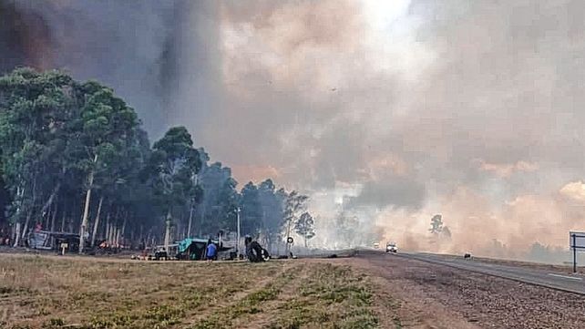 Combaten un incendio fuera de control en Concordia