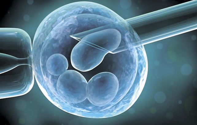 Singular. La técnica fue desarrollada por investigadores de la universidad de Newcastle (noreste de Inglaterra).