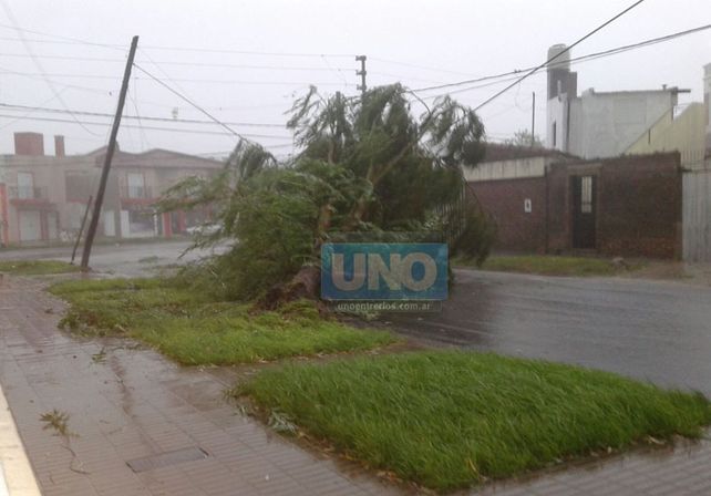 Terrible temporal de lluvia y viento generó graves destrozos en Paraná