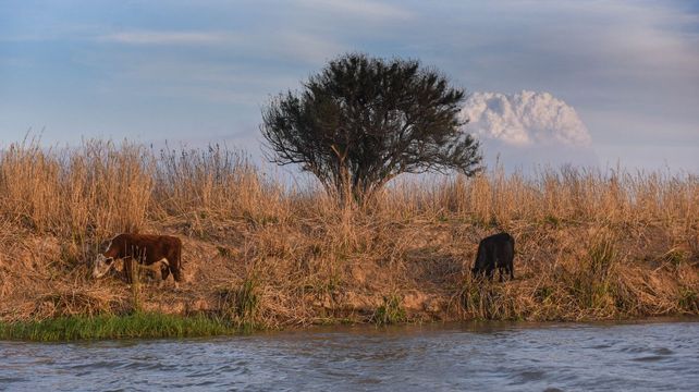 El proceso de pampeanización es uno de los problemas que presenta el Delta.