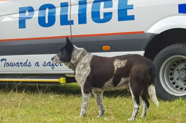 Maxi recibió honores policiales.&nbsp;