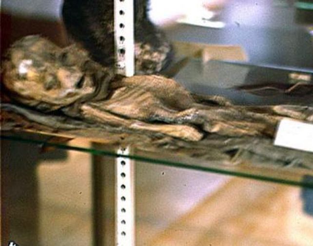 La imagen del presunto alien fue tomada entre los restos de un accidente aéreo ocurrido en 1947.