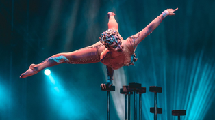 Después de doce años, Servian, El Circo vuelve a Rosario. El gran sueño&nbsp;