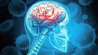 Qué fruta ayuda al funcionamiento del cerebro
