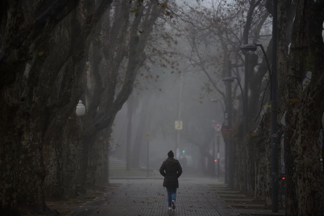 Bancos de niebla o neblinas durante la mañana y el cielo estará parcialmente nublado.