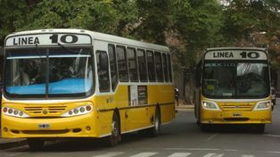 Seguridad vial: seis líneas de colectivos modifican su recorrido en la zona sur