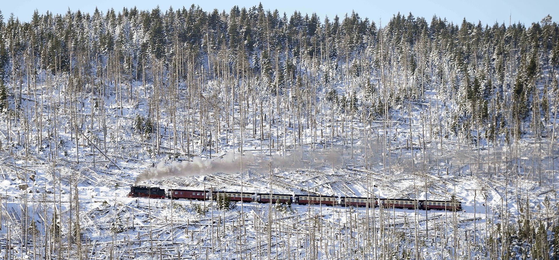 Un tren de vapor viaja a través del bosque de Harz hasta la cima del Brocken, un pico de 1.142 metros (3.743 pies) de altura en el norte de Alemania, cerca de Schierke, Alemania, el lunes 13 de enero de 2025. (Foto AP/Matthias Schrader) Un tren de vapor viaja a través del bosque de Harz hasta la cima del Brocken, un pico de 1.142 metros (3.743 pies) de altura en el norte de Alemania, cerca de Schierke, Alemania, el lunes 13 de enero de 2025. (Foto AP/Matthias Schrader)