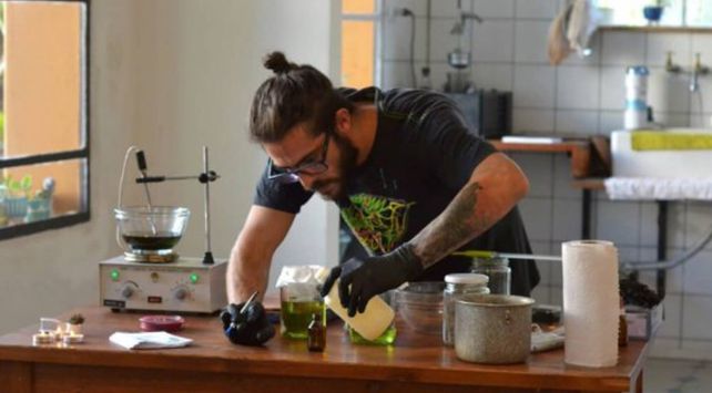 trafico marihuana consumo cannabis autocultivo