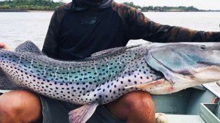 La Jueza de Menores, Silvina Racigh, tomó la medida con un deudor persistente de la cuota alimentaria de sus hijos que pretendía participar dle torneo de pesca del surubí de Goya, Corrientes.&nbsp; Foto: Ilustrativa