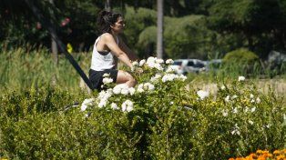 El tiempo en Rosario: un martes con la temperatura máxima en alza