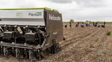 La agrotecnológica Plantium despidió a más de 80 empleados en Villa Constitución