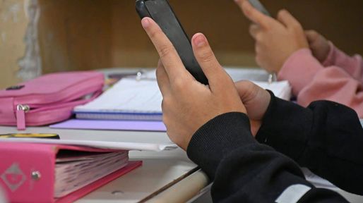 Violencia digital en escuelas: una problemática que se extiende y en Santa Fe aborda la ley Ema