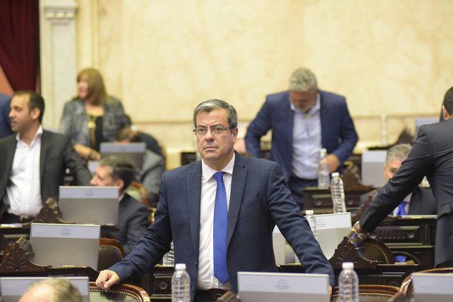 Germán Martínez, jefe del bloque de diputados nacionales de UP.