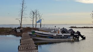 Asesinato en la noche del lunes en la zona sur de Rosario 47 casino Laguna La Picasa: recrudece la guerra del pejerrey ante la falta de controles