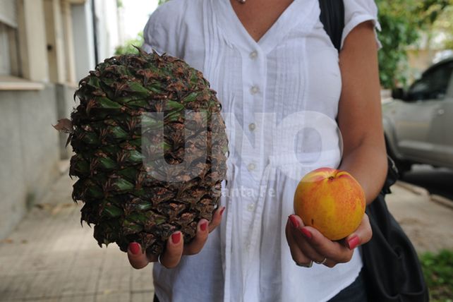 Reclamo y riesgo en la vía pública por un árbol