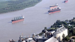 Hallaron más de tres mil kilos de cocaína impregnada en arroz en el puerto de Rosario