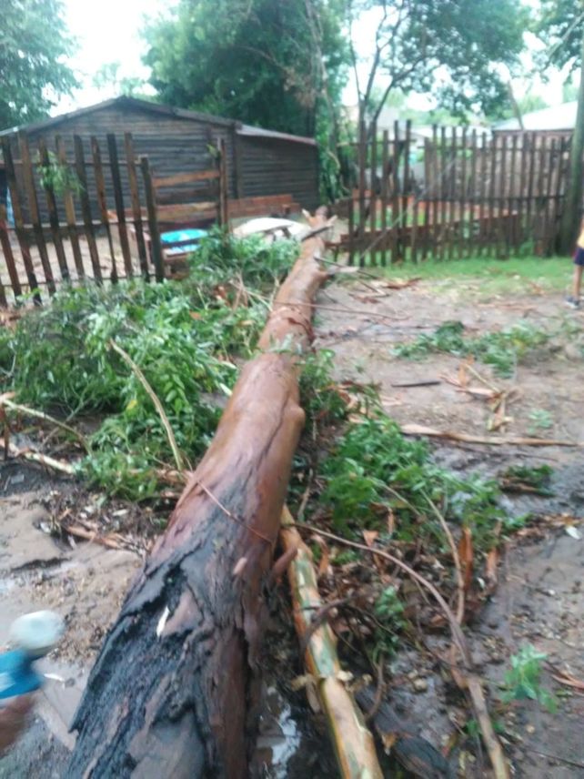 Concordia está muy afectada por la gran tormenta