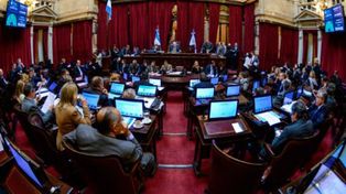 El Senado comenzó a debatir el proyecto para elevar el mínimo no imponible