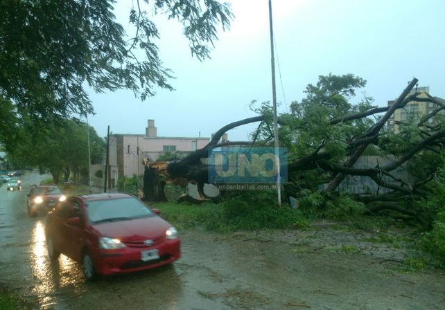 Terrible temporal de lluvia y viento generó graves destrozos en Paraná