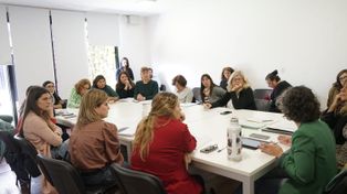 Organizaciones sociales santafesinas se reunieron en Diputados por el proyecto de Emergencia en Violencia de Género