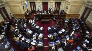 Cristina dividió el bloque en el Senado y se impone para el Consejo de la Magistratura