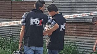 Una joven intentó asesinar a su tía a balazos en barrio Barranquitas: la Policía busca a la agresora y a su cómplice