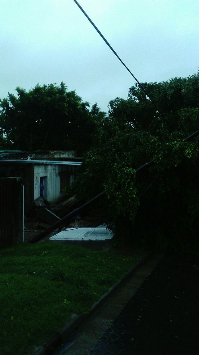 Terrible temporal de lluvia y viento generó graves destrozos en Paraná