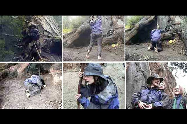 La mujer que subió a un árbol para evitar su tala y no bajó en dos años