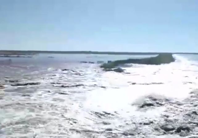 Por las constantes lluvias el río Gualeguay continúa creciendo.