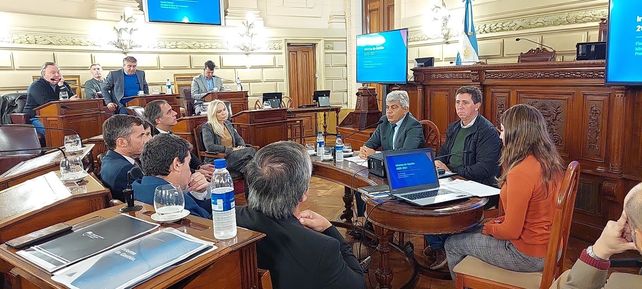 Jorge Baclini repasó la situación del MPA en el Senado provincial.