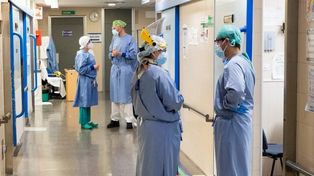 Por qué se celebra hoy el Día Panamericano del Médico 