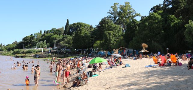 Un paraíso escondido a sólo media hora del centro de Rosario, para descubrir y escapar del ruido y el calor