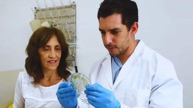 Foco. El equipo de investigadores busca que las semillas brinden mayor productividad.
