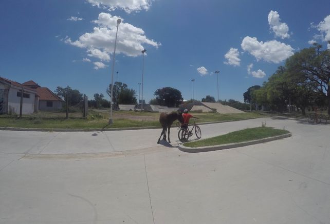 Una recorrida por el skatepark de Paraná y su reciente historia
