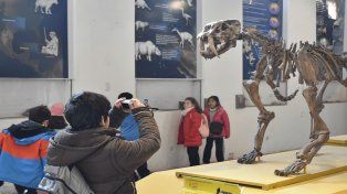 Este sábado 11 de febrero el Museo de Ciencias Naturales y Antropológicas Antonio Serrano de Paraná, ubicado en calle Carlos Gardel 62 de la capital provincial, invita a toda la familia a volverse Exploradores a través de una actividad libre y gratuita.