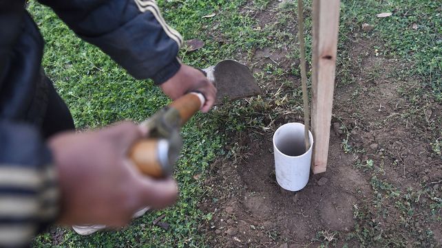 Trabajos de iluminación y bacheo previstos para este miércoles