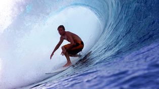 Murió al ser atacado por un tiburón mientras practicaba surf en una playa de Australia