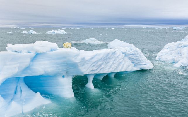 Drone Photo Awards 2021, impactantes imágenes desde las alturas