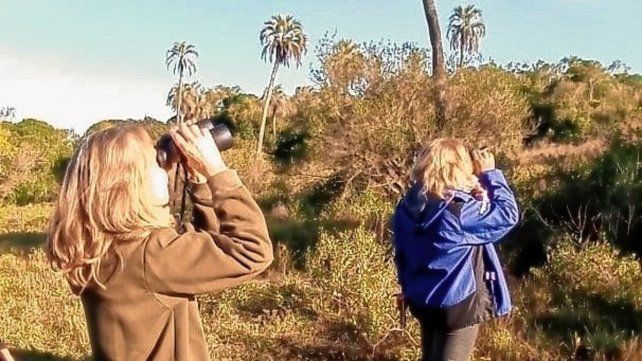 Gran Día Mundial de Observación de Aves: 199 especies avistadas en Entre Ríos