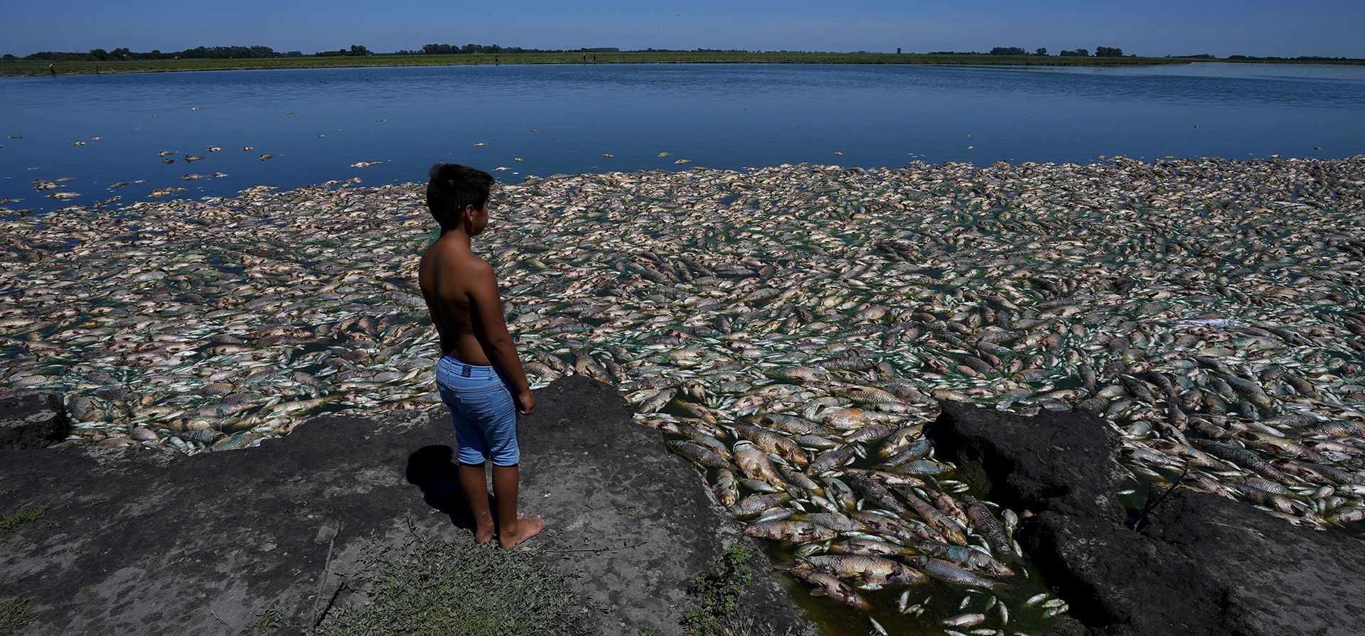 Un niño se encuentra entre peces muertos aglomerados en la orilla del río Salado, donde fue a pescar con su padre durante una sequía en la provincia de Buenos Aires, Argentina, el jueves 26 de enero de 2023. (Foto AP/Natacha Pisarenko)