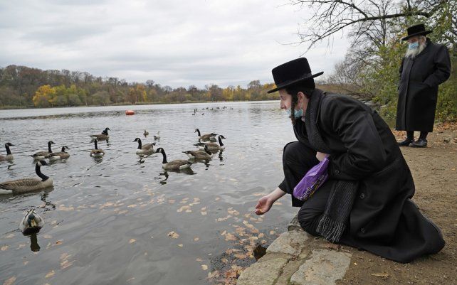 Vestido con la ropa tradicional que usan algunos judíos ortodoxos, Zvi Kurtz ofrece comida a los gansos residentes y un pato real mientras las aves acuáticas nadan en Prospect Lake en Nueva York.