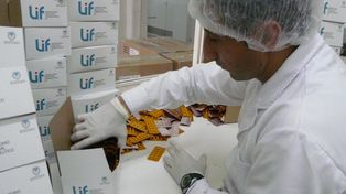 Se proveen gratis más de 100 rubros de medicamentos